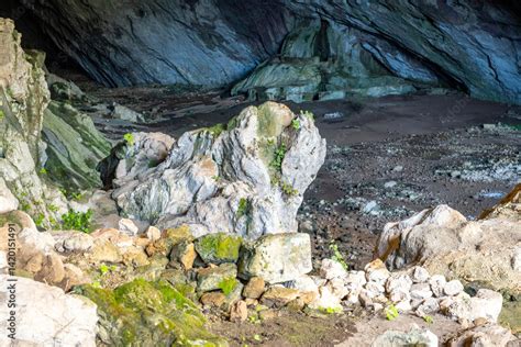 Ahirtas Halı ve Koltuk Yıkama