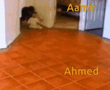 Ahmed GIFs Tenor