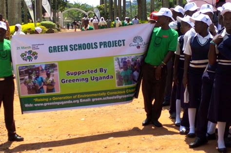 Aia Green Schools