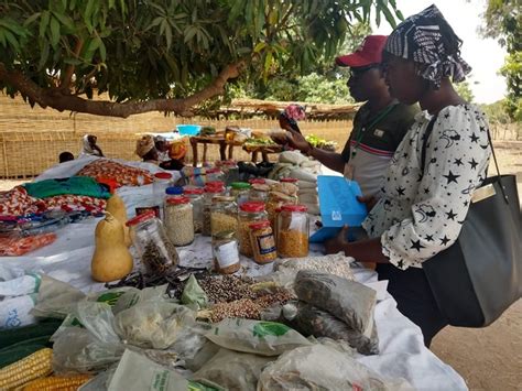 Aid decrease propel countless numbers in Western and Central Africa deeper into hunger