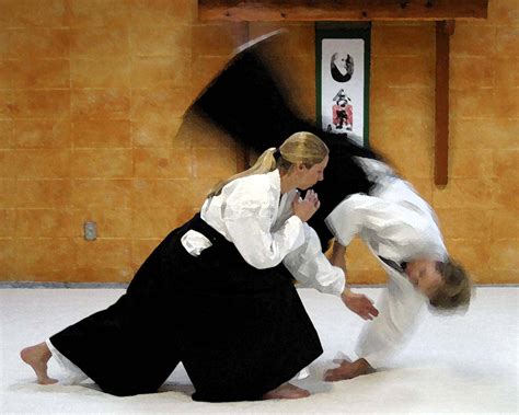 Aikido judo