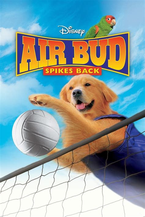 Air Bud - Rotten Tomatoes