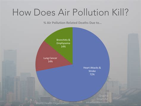 Air Pollution Issue