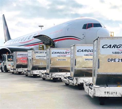 Air cargo company Cargojet reports $30.5M Q1 profit, revenue down from year ago
