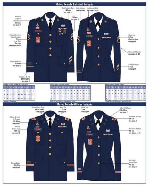Air force blues us insignia placement. AFI 36-2903 para. 5.1.1.2. Enlisted Rank Insignia. Enlisted Airmen will wear rank on the sleeves, 4-inch chevrons for men; 3 ½ inch or 4 inch chevrons for women. Chevrons will be centered on the ... 