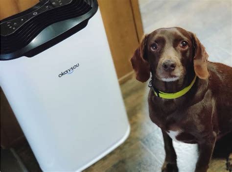 Air purifier for dog hair. Check Amazon Price. 5. Winix WAC9500 Ultimate Pet True HEPA Air Cleaner with PlasmaWave Technology. The Winix is a fantastic product for pet hair and larger airborne particles through the HEPA filter. On top of that, the odor control captures even the strongest smells such as cooking and household smoke and odors. 