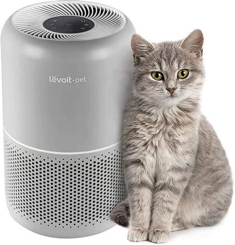 Air purifier for pet hair. Levoit Air Purifiers for Home Allergies and Pet Hair, True HEPA Air Filter for Bedroom, 24dB Filtration System with ARC Formula, Remove Smells Odours Pollen Smoke Dust Mould, Core P350 . Visit the Levoit Store. 4.5 4.5 out of 5 stars 463 ratings. Amazon's Choice highlights highly rated, well-priced products available to ship immediately. 