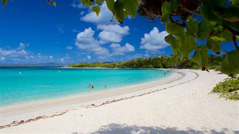 Airfare to st. thomas virgin islands. American Airlines flights from Orlando to the U.S. Virgin Islands. Round trip. expand_more. 1 Adult, Economy class. expand_more. Book with cash. expand_more. From. close. To. Depart 05/21/24. today. Return 05/28/24. today. Search. ... St. Thomas (STT) 05/28/24 - 06/04/24. from. $289* Updated: 18 hours ago. Round trip. I. Economy. See Latest ... 