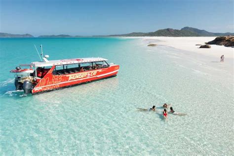 Airlie Beach: Whitehaven Full-Day Eco-Cruise with Lunch