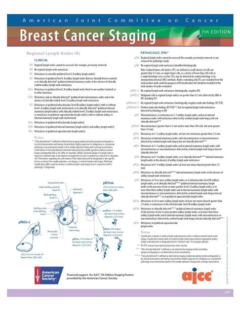 Ajcc cancer staging manual 7th edition cervix. - Serviços complementares essenciais na estabilidade e desenvolvimento rural.