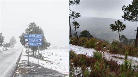 Ajusco - Wikipedia, la enciclopedia libre