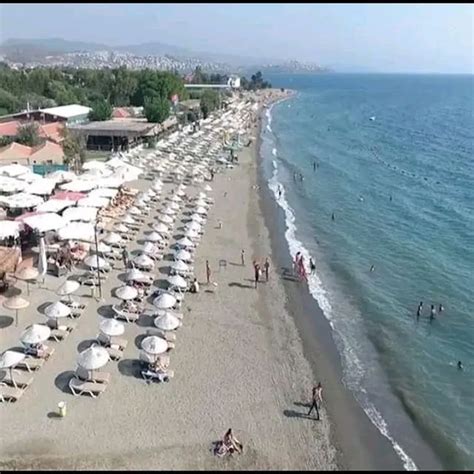 Akarca Halı ve Koltuk Yıkama