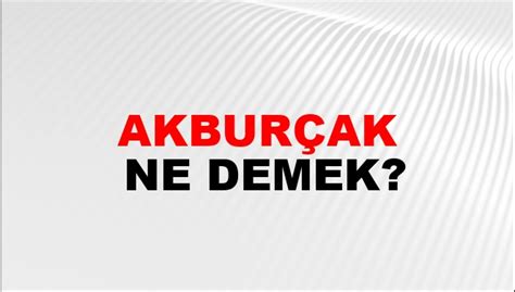 Akburcak Halı ve Koltuk Yıkama