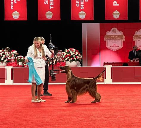 Akc nohs rankings. Grand Championship Titles. Events are processed through September 27, 2023. This listing displays the top dogs based on the Grand Championship title earned. Grand Championship Points Ranking. Grand Championship by Date Earned. 