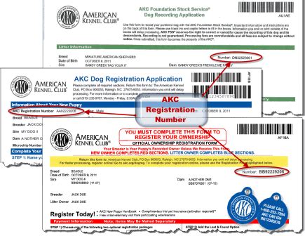 Have an AKC number via one of the following: AKC Registration as one of the AKC’s recognized breeds. AKC Canine Partners , which is for mixed-breed dogs and dogs ineligible for AKC registration.. 