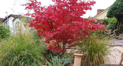 Akcaagac Halı ve Koltuk Yıkama