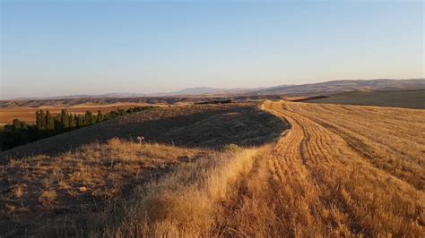Akcaagil Halı ve Koltuk Yıkama