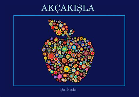 Akcakisla Halı ve Koltuk Yıkama