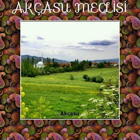 Akcasu Halı ve Koltuk Yıkama