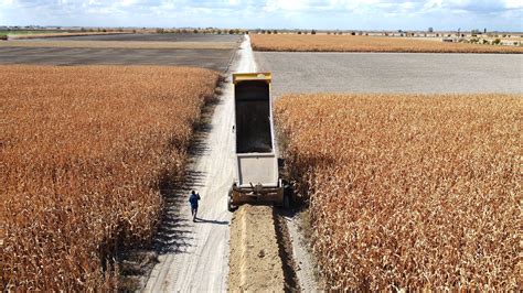 Akcayazi Halı ve Koltuk Yıkama