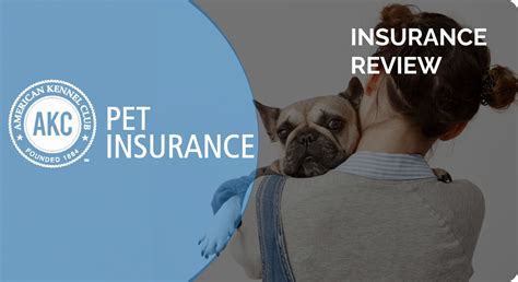 Akcpetinsurance. AKC Pet Insurance is the only provider to offer coverage for pre-existing conditions after one year of continuous coverage. This can be life-changing for customers with dogs suffering from chronic illnesses or other pre-existing conditions. If your dog has a pre-existing condition, AKC Pet Insurance could be an excellent option for your household. 