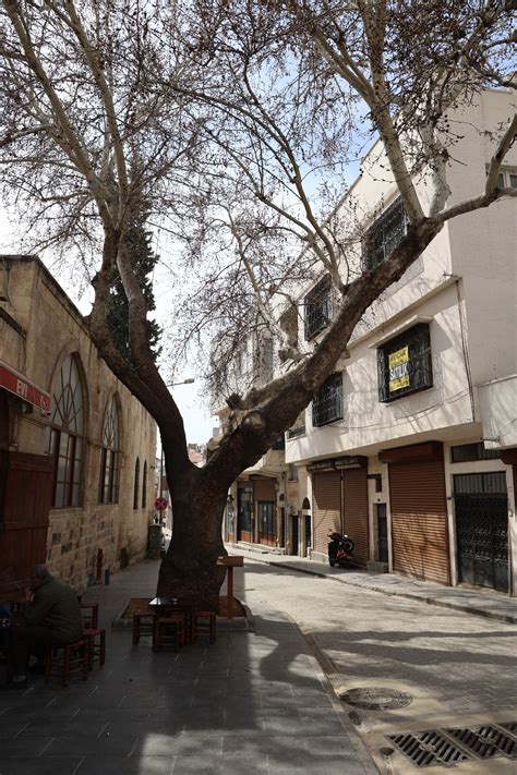 Akcurun Halı ve Koltuk Yıkama