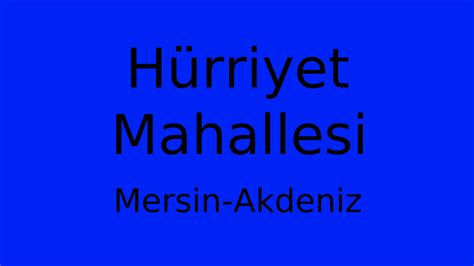 Akdeniz Hurriyet terapi halı yıkama