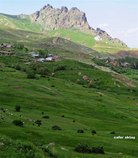 Akdiz Halı ve Koltuk Yıkama