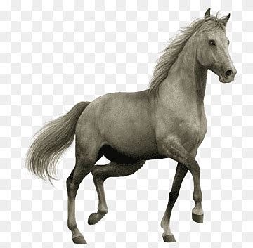 codini.rgarabwor.edu.pl. 