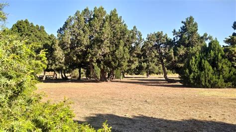 Akkisla Halı ve Koltuk Yıkama