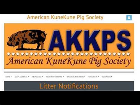 Find all the KuneKune pigs in the AKKPS online herd book by entering their names, registration numbers, dates of birth, microchiptagstattoos, genders, colors,. . Akkps
