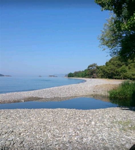 Akmaz Halı ve Koltuk Yıkama