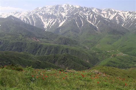 Aksu Halı ve Koltuk Yıkama