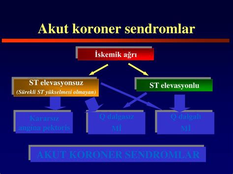 codini.rgarabwor.edu.pl. 