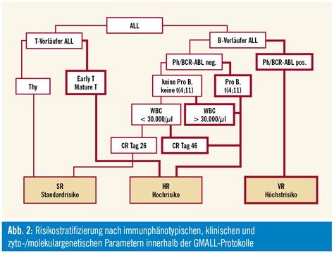 Akute lymphatische leukämie heilungschancen