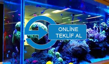 Akvaryum Teklif.
