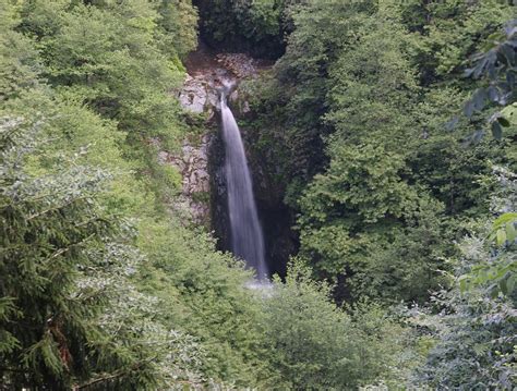 Akyamac Halı ve Koltuk Yıkama