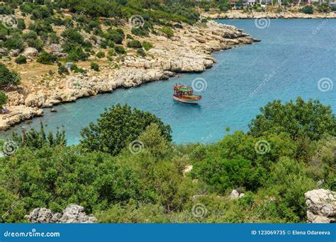 Akyar Halı ve Koltuk Yıkama