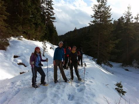 Akyarma Halı ve Koltuk Yıkama