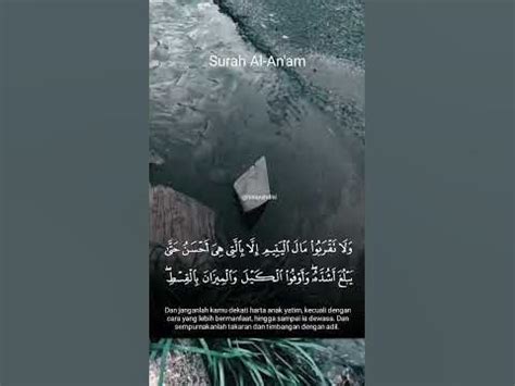 Al an am ayat 152. Paling gacor 2024 terbaru.