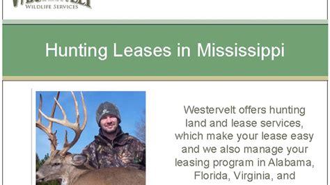 Al hunting leases. The Westervelt Company manages nearly 600,000 acres of timberland and natural resources. In the early 1950’s, Westervelt started managing its land for quality wildlife and hunting, including our own Westervelt Preserve along the Tombigbee river in western Alabama. A few years later we were one of the first private timber companies in the ... 