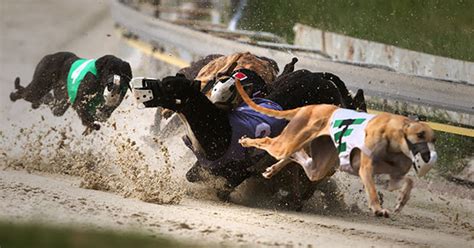 Alabama greyhound racing.  This decision stemmed from increasing concern...