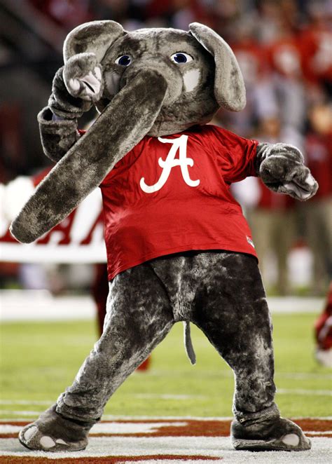 Alabama mascot. Visit ESPN for Alabama Crimson Tide live scores, video highlights, and latest news. Find standings and the full 2023 season schedule. 