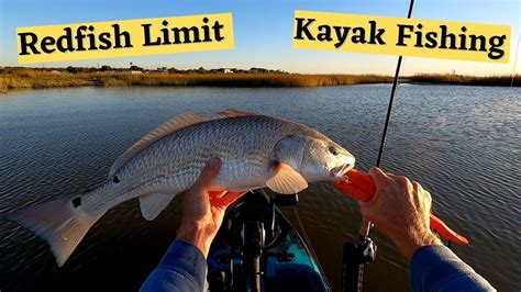 WE ARE YOUR SOURCE FOR FISHING DESTINATIONS IN ALABAMA! Fishing the Mobile ... Even though the daily creel limit allows anglers to keep one oversize redfish .... 