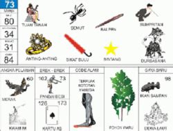 Alam angka semut dalam togel. Info slot hoki hari.