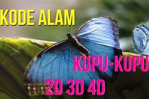 Alam kepiting masuk rumah togel. Menang judi slot kode alam. Data hk 1995 sampai.