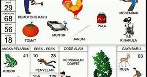 Alam kucing ketabrak mobil togel. Prediksi hk terbaru malam.