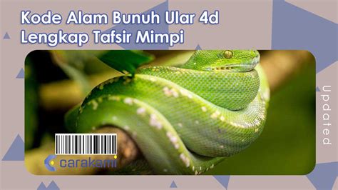 Alam membunuh ular hijau togel. Judi bola terbesar.