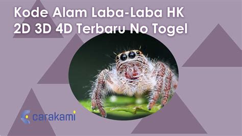 Alam no togel laba laba 4d. Togel bisa bbfs.
