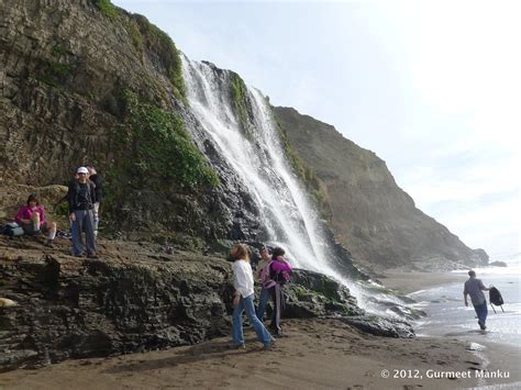 Alamere falls hike. Information about visiting Alamere Falls, including Wilderness ethics, routes to the falls, and preparation and safety issues. 
